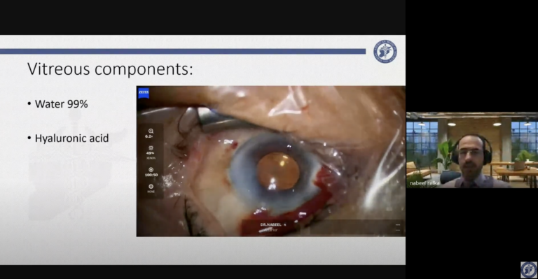 Fundamentals of Retina and Diagnostic Approaches of Retinal Diseases – Nabeel Refka, MD